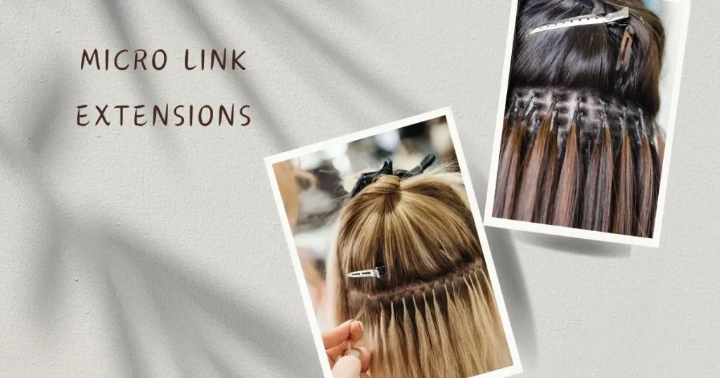 Micro link Extensions